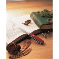 Victorinox Climber Zakmes Rood -Veel Plezier Buitenshuis 108436 600 06