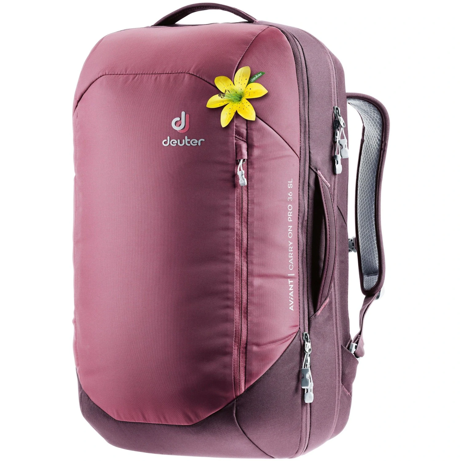 Deuter Aviant Carry On 36 SL Rugzak Dames Maron Aubergine 3 Deuter Aviant Carry On 36 SL Rugzak Dames Maron Aubergine