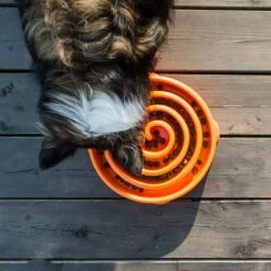 Outward HoundFun Feeder Slo Bowl Voerbak Oranje -Veel Plezier Buitenshuis 115180 470 03 2