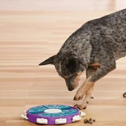 Nina OttossonDog Twister Hondenspeelgoed -Veel Plezier Buitenshuis 115198 000 03 1