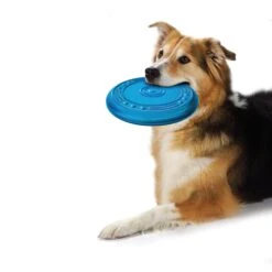 Petstages Orka Flyer Hondenspeelgoed