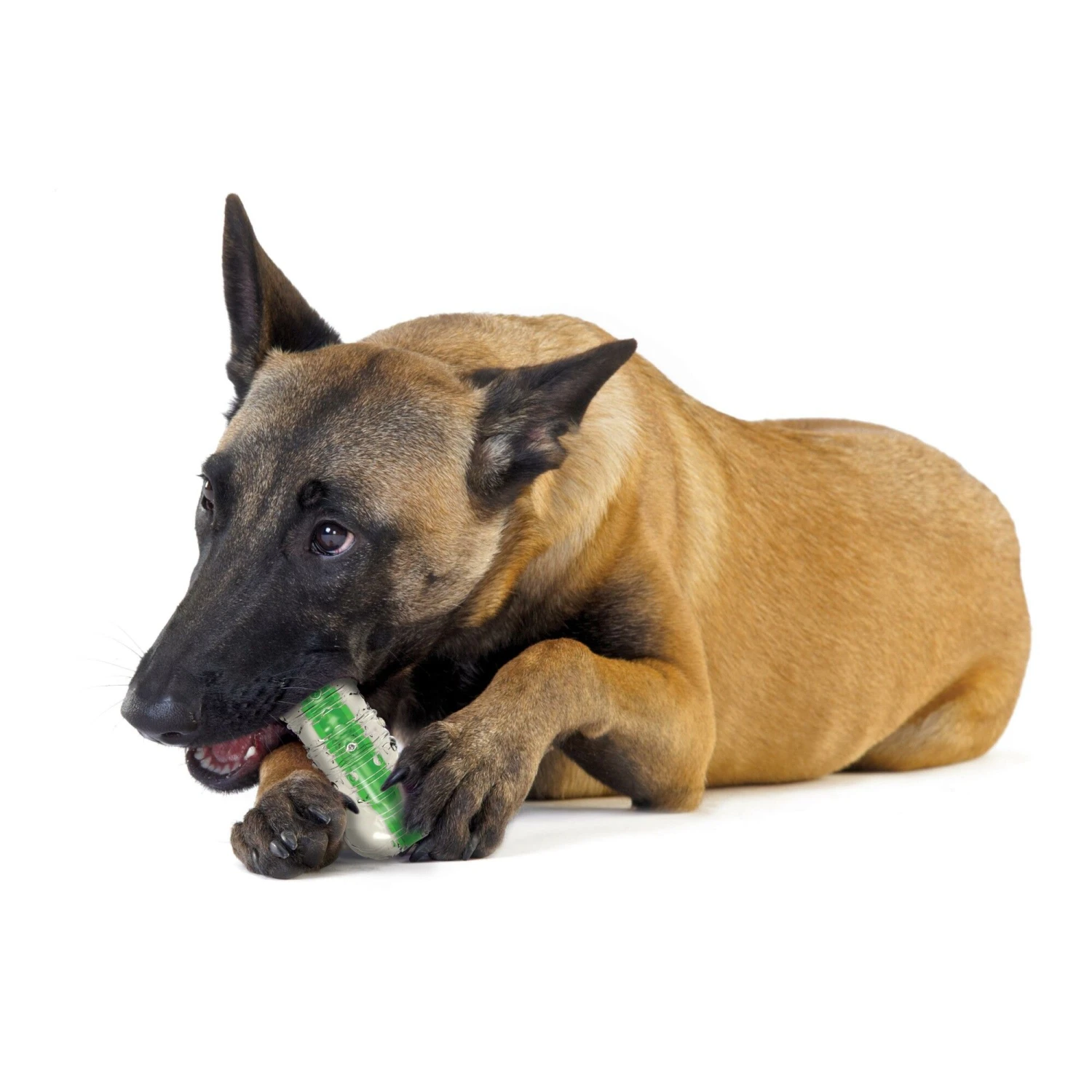 Petstages Crunchcore Hondenspeelgoed M 4 Petstages Crunchcore Hondenspeelgoed M - Afbeelding 2