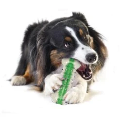 Petstages Crunchcore Hondenspeelgoed L 5 Petstages Crunchcore Hondenspeelgoed L -Veel Plezier Buitenshuis 115206 000 02 1