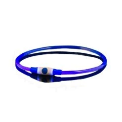 Bee SportsSports Led USB Honden Halsband Violet